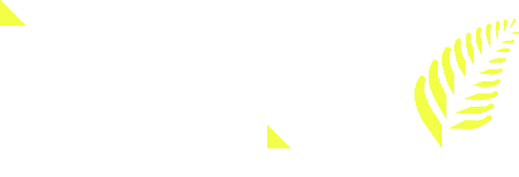 IBANZ, Insurance Brokers Association of New Zealand